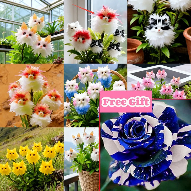 🔥LAST DAY 49% OFF🌹Magical plants! Cat's eye dazzling series✨