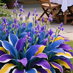 🌞 Easy-to-Grow Colorful Hostas for Year-Round Beauty🪴50 Seeds/Pcs